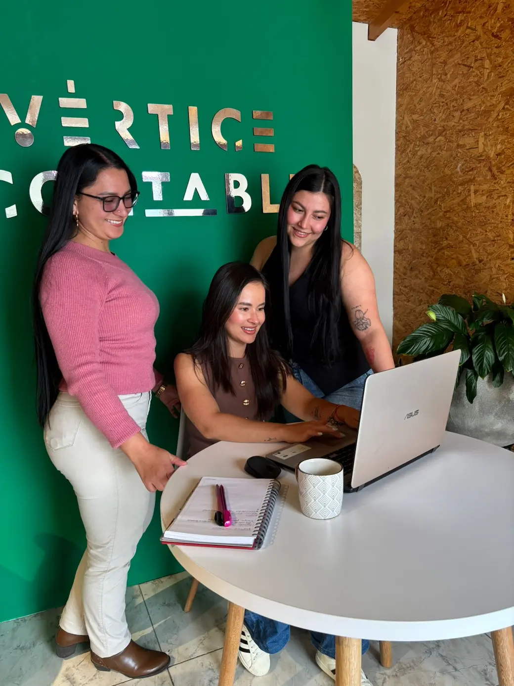 Equipo Vertice contable